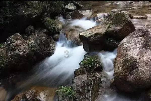 《幻兽帕鲁》帕鲁不干活解决方法介绍
